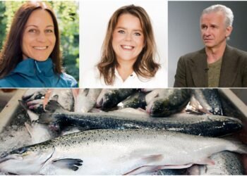The managing director of Patagonia discusses salmon farming in Iceland