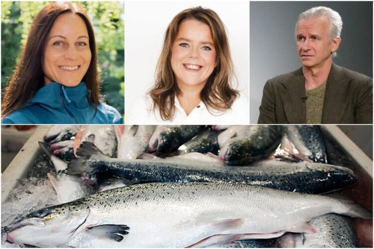 The managing director of Patagonia discusses salmon farming in Iceland