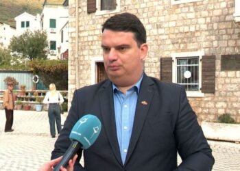 Odžić: Obstruction is in vain, Budva continues