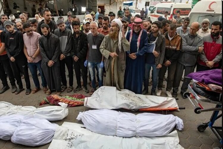The latest statistics of martyrs and wounded in Gaza