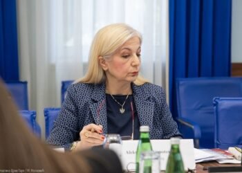Despotović: A few specific questions for the Government