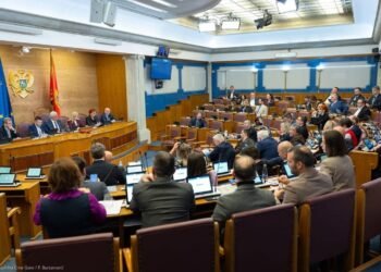 MPs will not discuss state awards, but neither will they discuss amnesty; Knežević: Good, good, you too will go to prison
