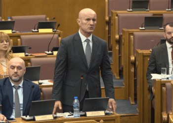 Laković: There are people in PES who brought ideology from some other parties, like DF