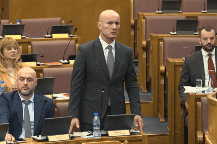 Laković: There are people in PES who brought ideology from some other parties, like DF