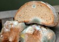 Telex: Can I eat moldy bread if I cut out the mold stain?