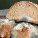 Telex: Can I eat moldy bread if I cut out the mold stain?