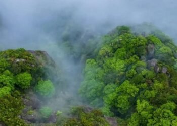 Misty spring reveals the quiet beauty of Kuliang