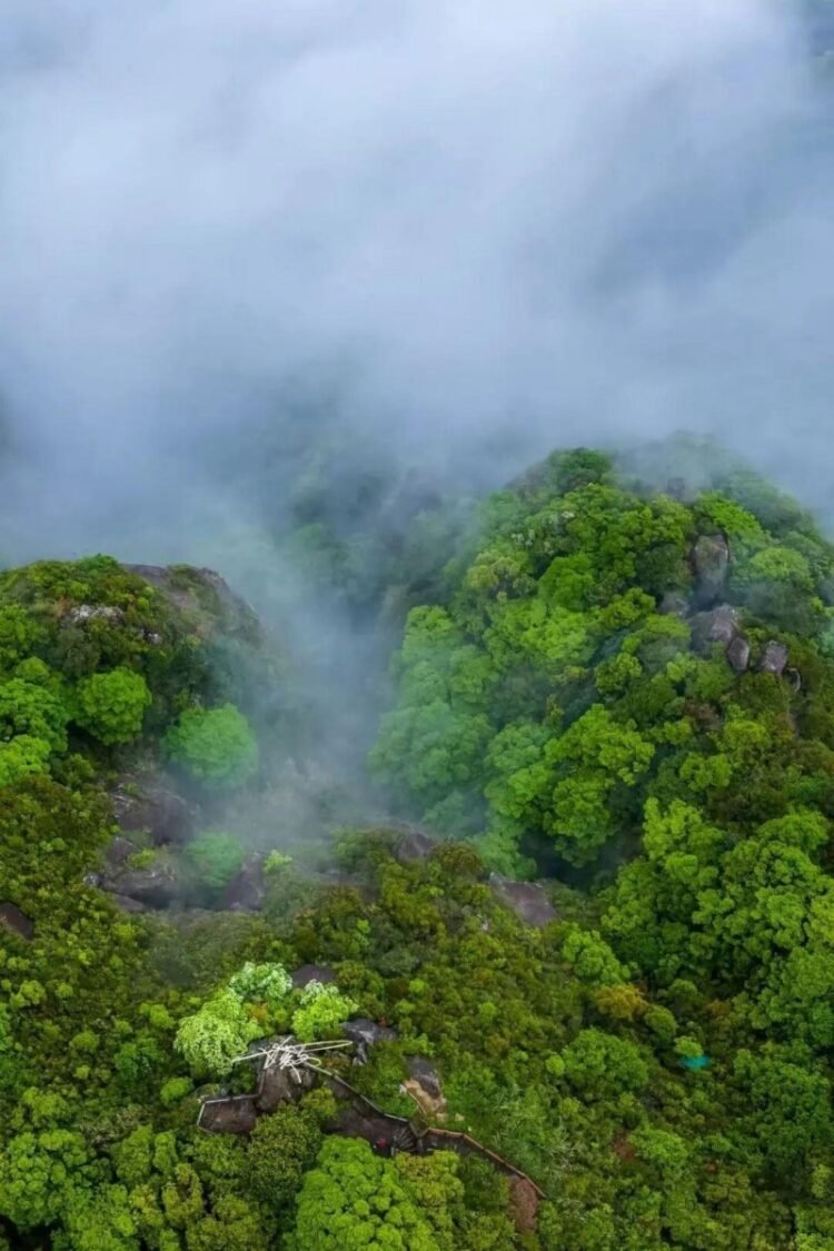 Misty spring reveals the quiet beauty of Kuliang