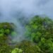 Misty spring reveals the quiet beauty of Kuliang