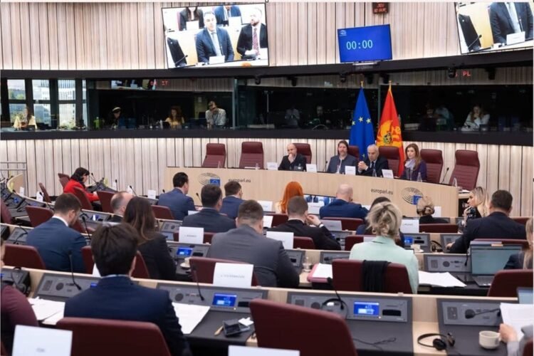 The POSP meeting ended: the Declaration was adopted, Montenegro maintains its leadership position, but must intensify reforms