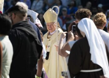 Cardinal Cupich: Peace is not absence of war but work of justice