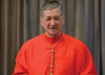 Cardinal Cupich: “Peace is not the absence of war but the work of justice”
