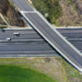 Asphalt of “Danube waves”, with a thickness of 2-3 cm and overgrown grass, s…