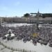 Pope remembers journalists who lost their lives due to violence and wars