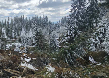 When Nature Overtook Engineering Thought: Why the Landslide End…