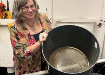 Reeling from crisis, P.E.I.’s oyster industry hopes disease-resistant seed from U.S. helps