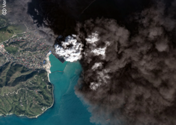 Ignoring, belittling, belatedly reacting: The environmental crisis …