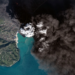 Ignoring, belittling, belatedly reacting: The environmental crisis …
