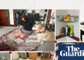 I tried to live for 24 hours without using oil-based products. It was ridiculously impossible | Consumer affairs