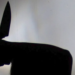 A 16-year-old in hospital after a knife attack by a peer in Veliko …