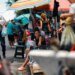 Hantavirus in Argentina: 198 deaths in 13 years and an outbreak that has moved from Patagonia to central provinces such as Buenos Aires