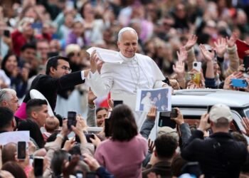 Pope at Audience: ‘The Church has mission to speak out against all that mortifies life’