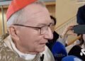 Cardinal Parolin: Pope Leo goes forward on his path and preaches peace