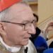 Cardinal Parolin: Pope Leo goes forward on his path and preaches peace