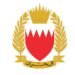 Gulf News | Defense Force: All weapons and units of the force are at the highest levels of readiness