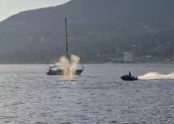 Grey whale struck by Sea-Doo in Vancouver appears uninjured, ‘acting normal,’ says researcher