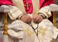 Pope Leo’s over 400 appeals for peace during first year of pontificate