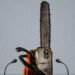 Can Javier Milei’s Deregulatory Frenzy Buoy the Global Right?