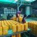 Yangon palm oil wholesale reference price shows uptick