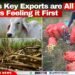 Belize’s Key Exports are All Down; Farmers Feeling it First