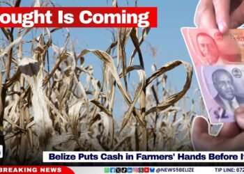 Drought Is Coming; Belize Puts Cash in Farmers’ Hands Before It Hits
