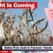 Drought Is Coming; Belize Puts Cash in Farmers’ Hands Before It Hits