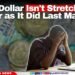 Your Dollar Isn’t Stretching as Far as It Did Last March