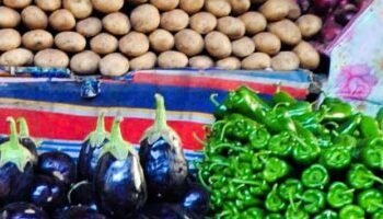 The price of vegetables today, Monday, April 27, 2026 in Alexandria.. A kilo of tomatoes is 30 pounds