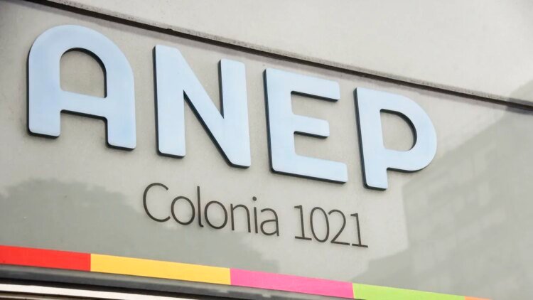 ANEP job call for administrators with a salary of $45 thousand: here the requirements and how to sign up
