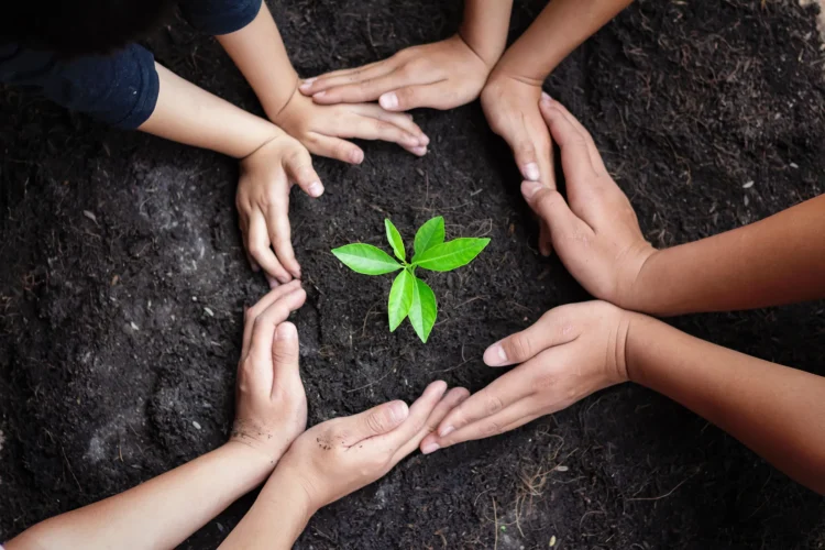 Turkmenistan continues accepting applications for a competition of environmental projects among schoolchildren