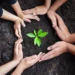 Turkmenistan continues accepting applications for a competition of environmental projects among schoolchildren