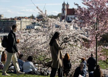 Vilnius will become even greener: see how the city’s public spaces will change | Business