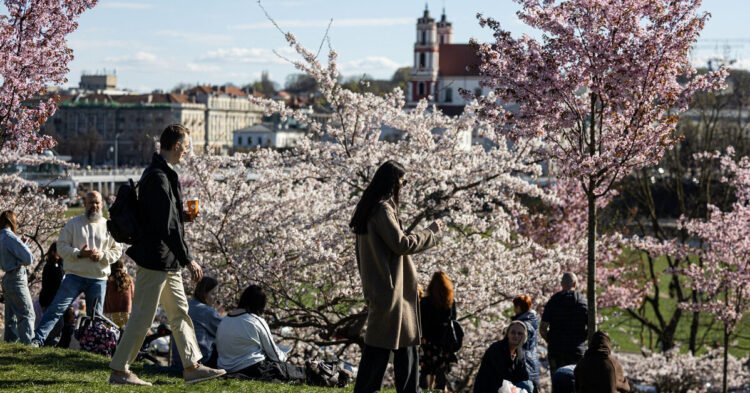 Vilnius will become even greener: see how the city’s public spaces will change | Business