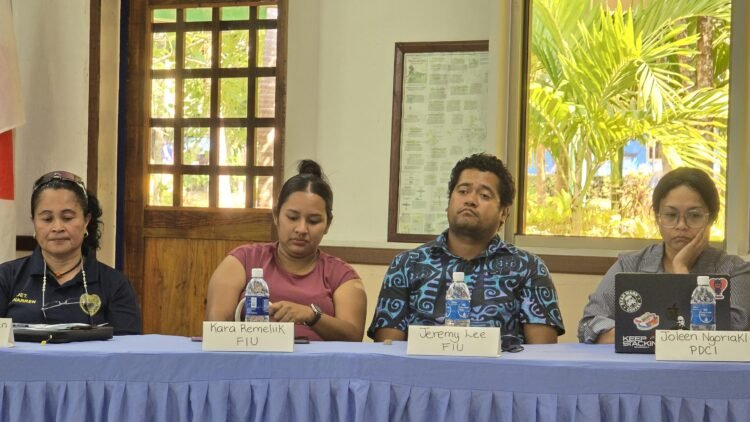 Palau Agencies Strengthen Fight Against Financial Crimes Amid Rise in Online Scams