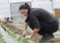 How to care for seedlings: the crucial first 20 days