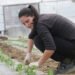 How to care for seedlings: the crucial first 20 days