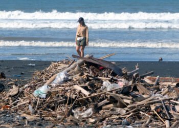 Tourism worsens Bali waste crisis – Regulations