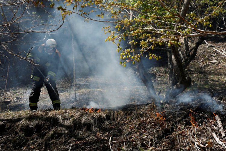 Japan deploys 1,400 firefighters to battle raging wildfires in the north – Asia & Pacific