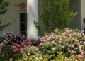 The White House reacted to Iran’s proposal, they say that Trump was clear