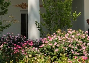 The White House reacted to Iran’s proposal, they say that Trump was clear